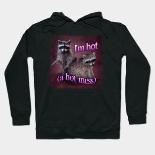 Hot Mess Raccoon Meme Hoodie